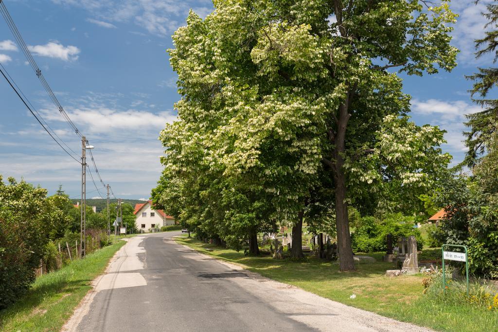 Bordoma Falusi Vendeghaz Balatonszolos Exteriör bild