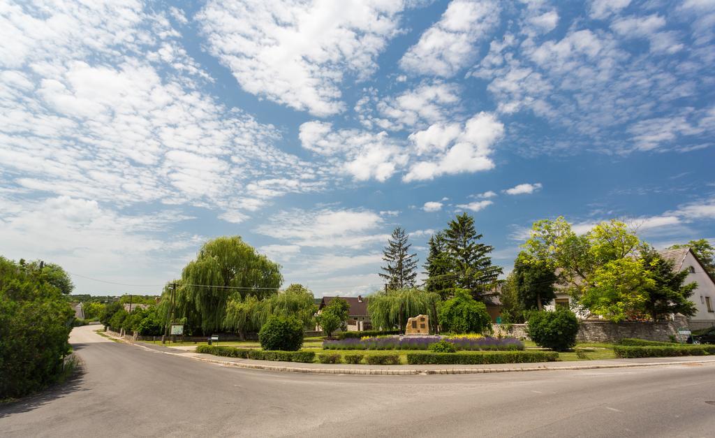 Bordoma Falusi Vendeghaz Balatonszolos Exteriör bild